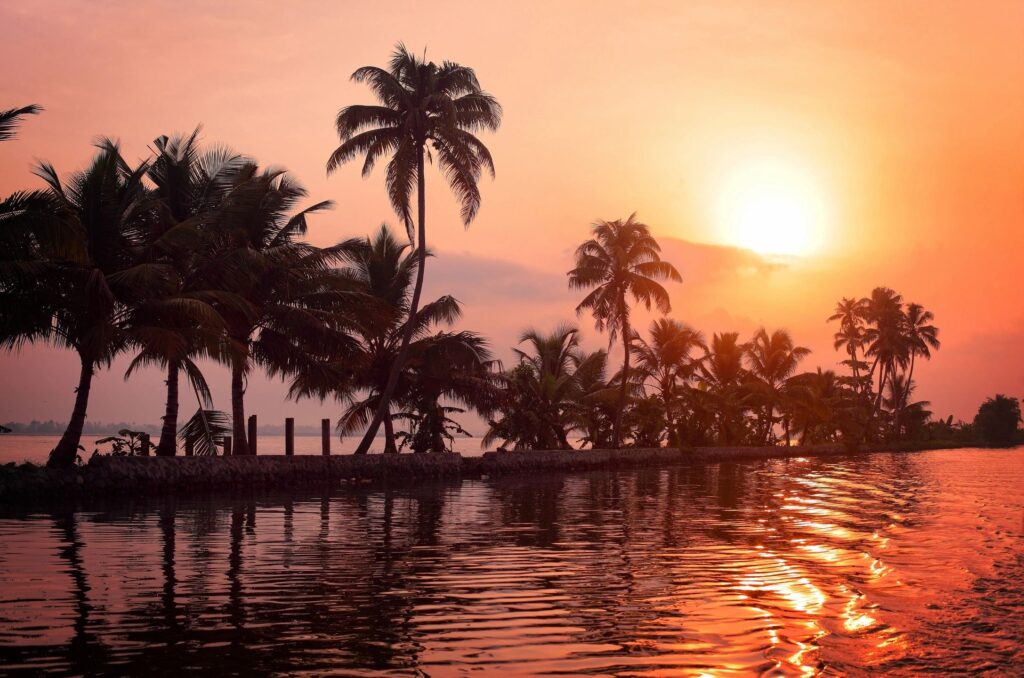A sunset over the ocean with palm trees.